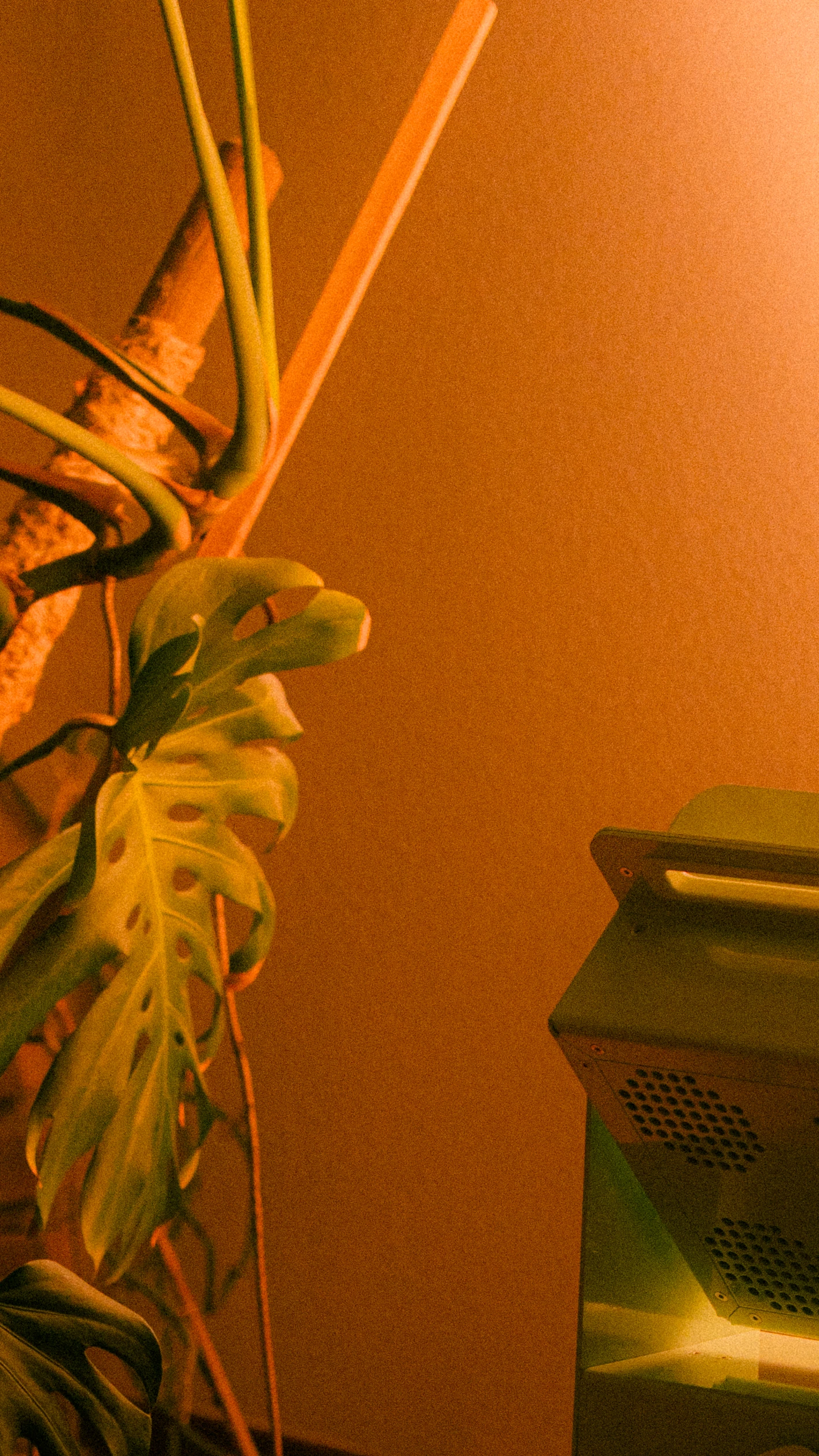 A Rhythm sunlight generator lighting a room — After dark