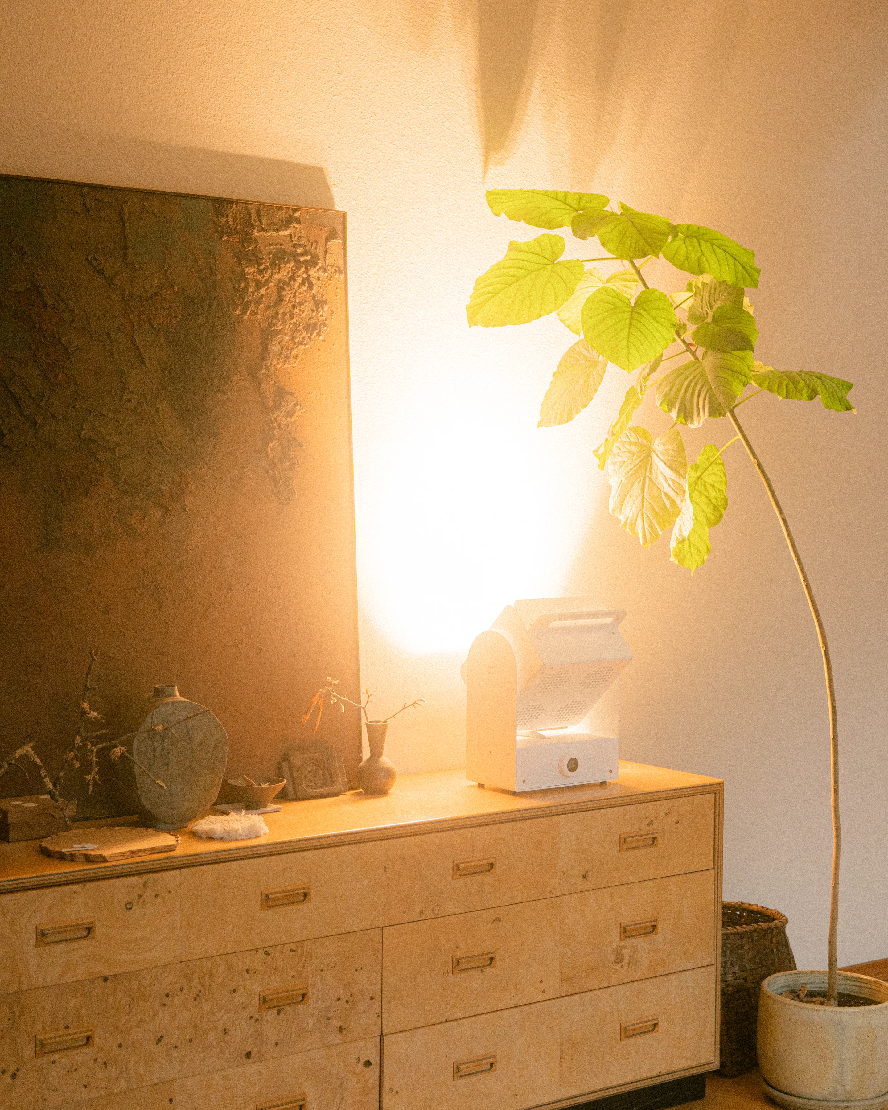 A Rhythm sunlight generator lighting a room — The Moon House