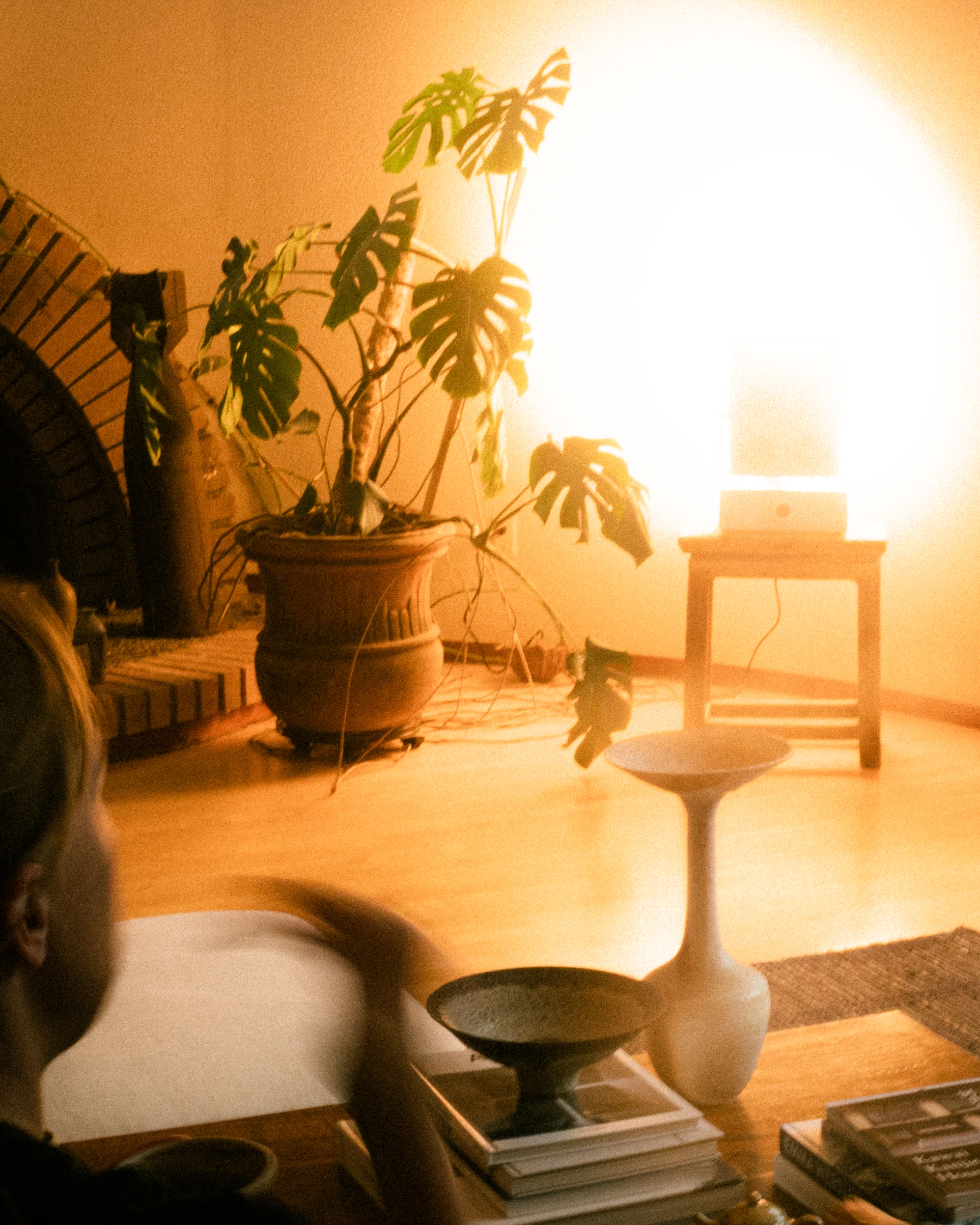 A Rhythm sunlight generator lighting a room — The Moon House