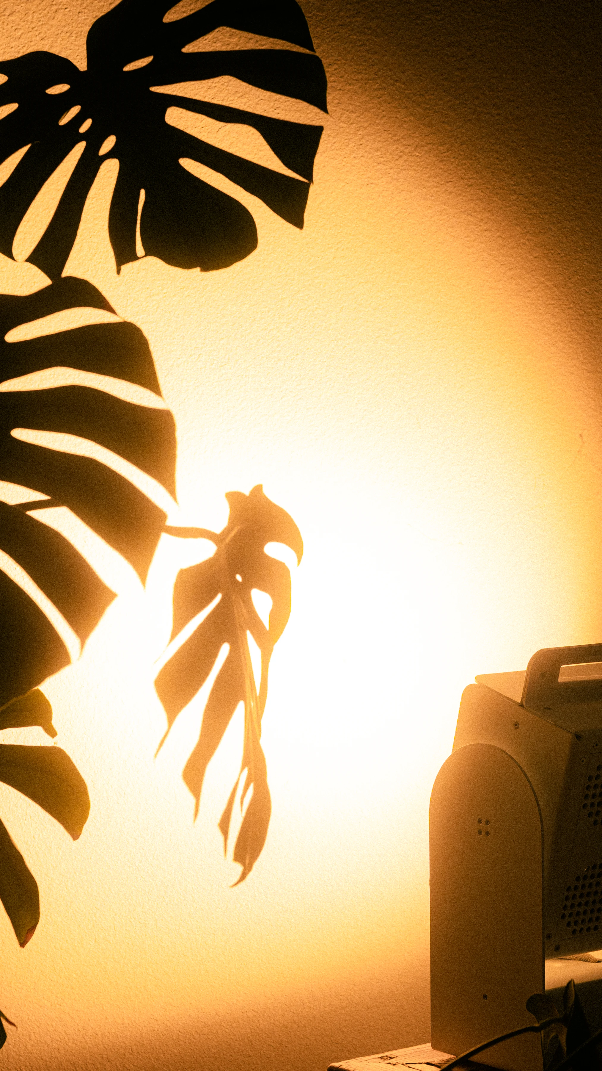 A Rhythm sunlight generator lighting a room — The Moon House
