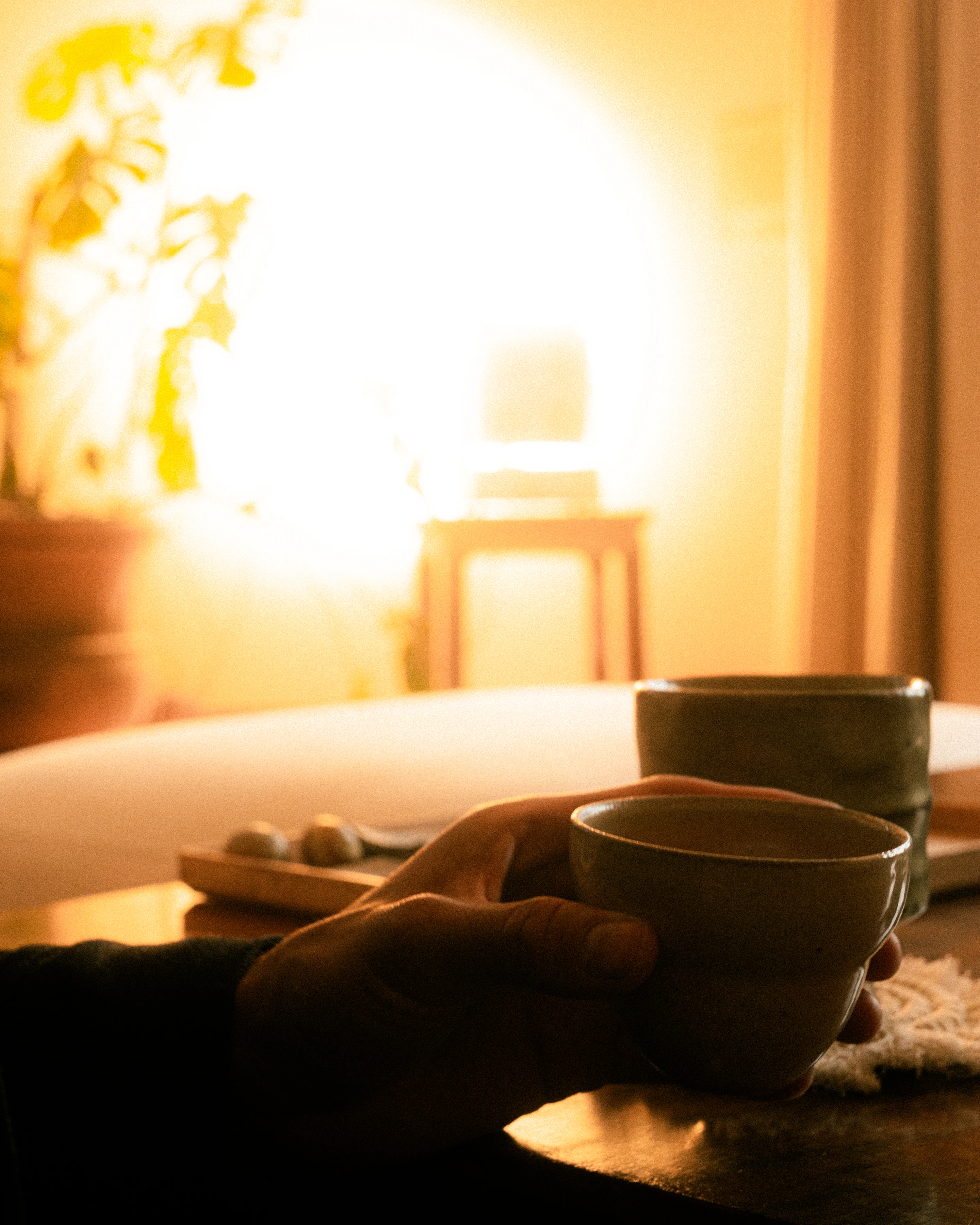 A Rhythm sunlight generator lighting a room — The Moon House